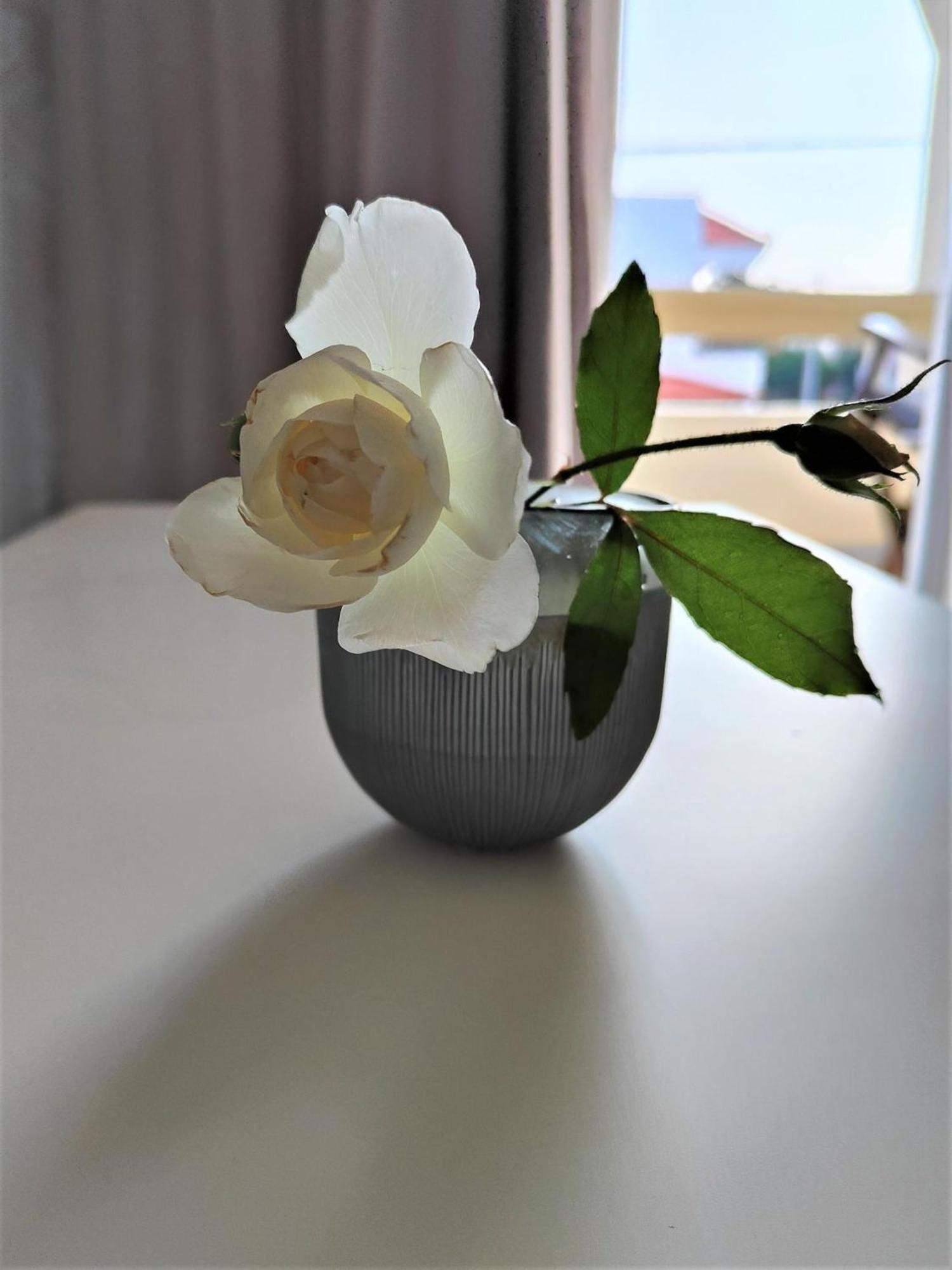 Lefteris Apartments In 이알리소스 외부 사진
